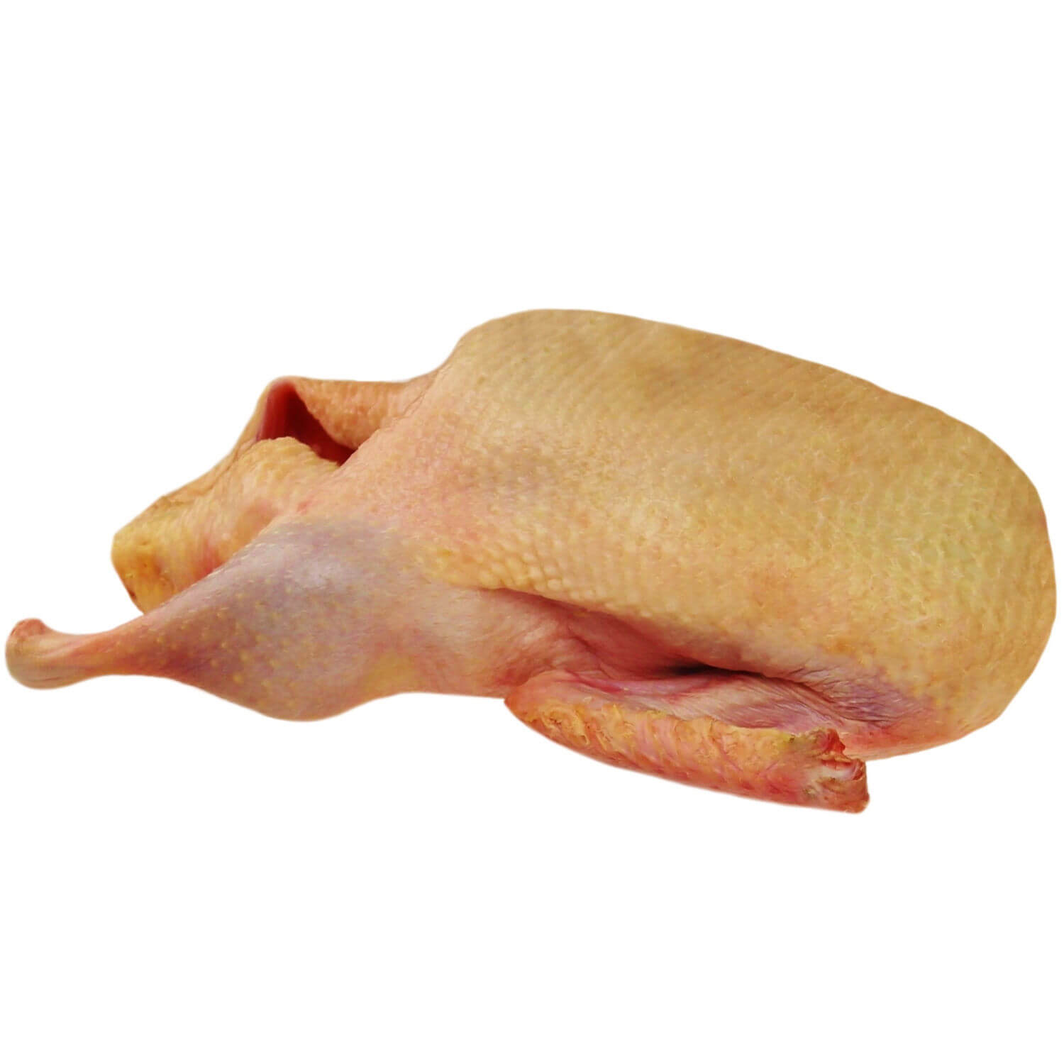 Barbarie Ente im Ganzen