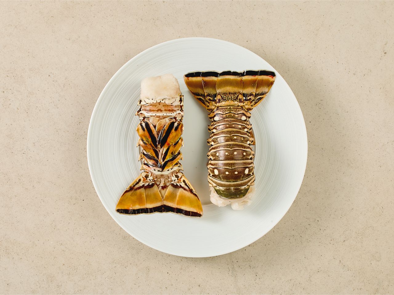 Langustenschwänze, 2 Stück, 500g