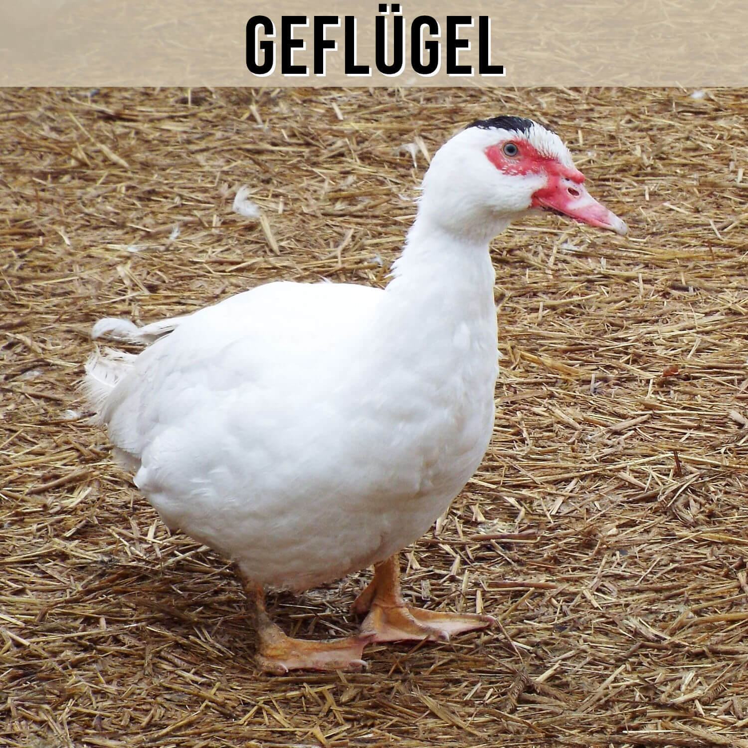 Unser Fleisch Geflügel