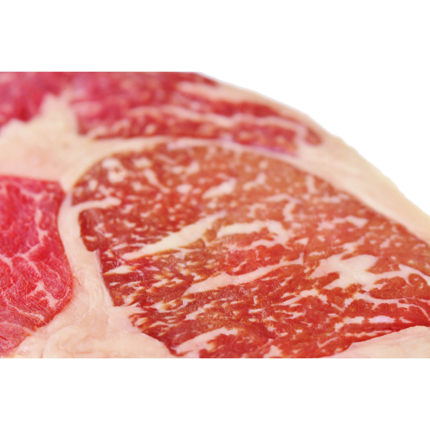 Red Heifer Ribeye Steak, 8 Wochen ShioMizu Aged