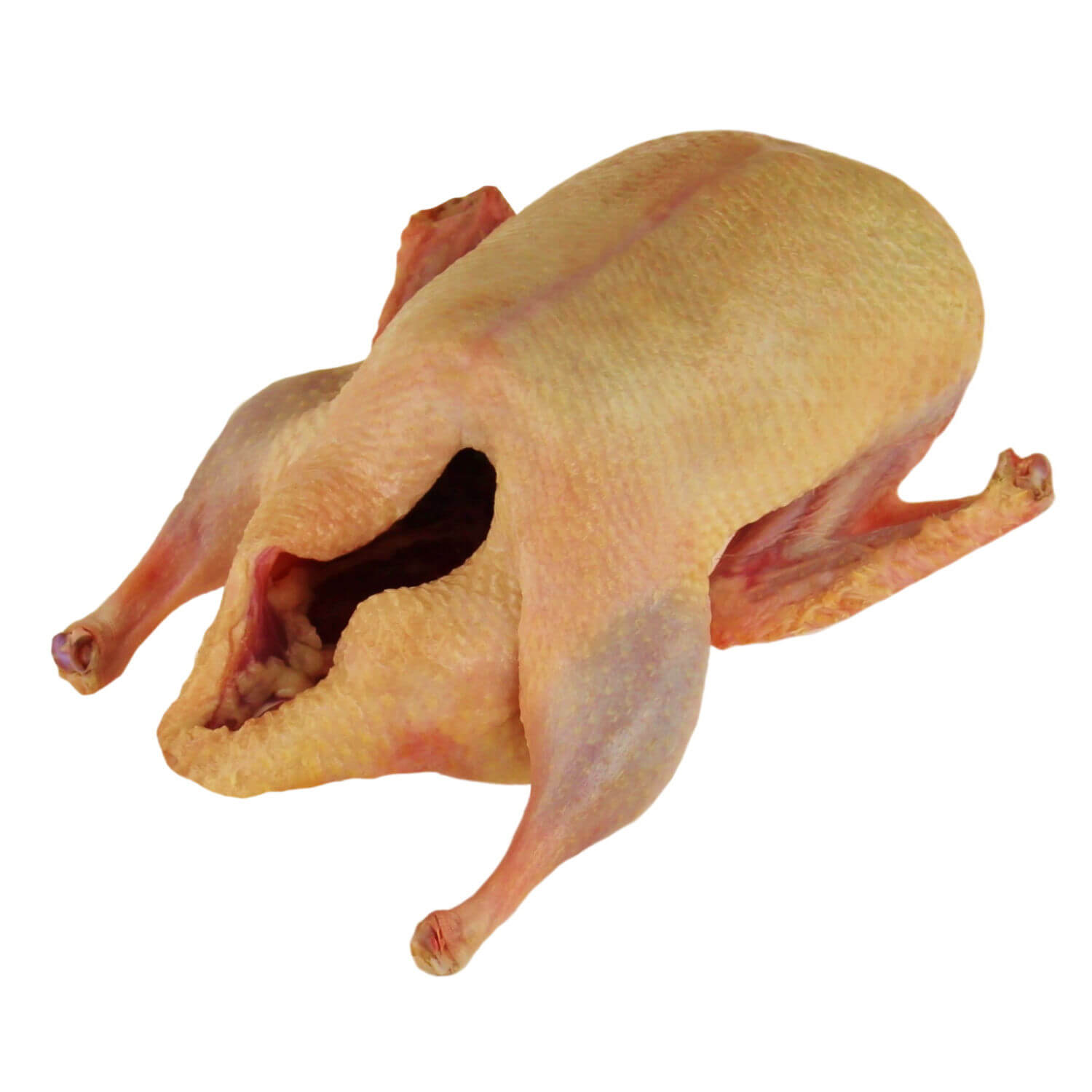 Barbarie Ente im Ganzen