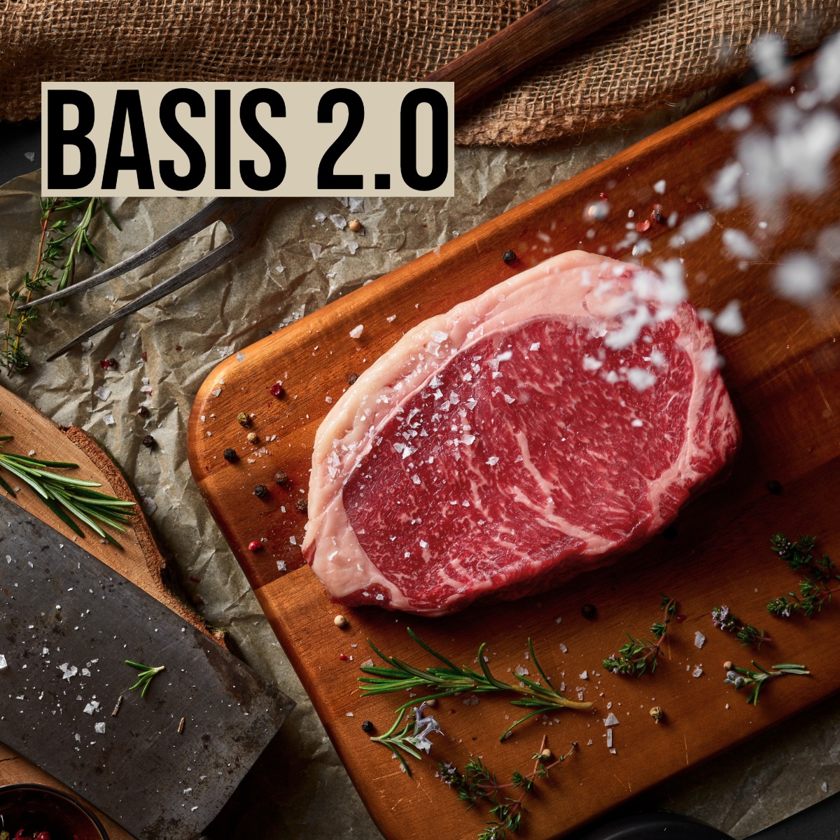Basis 2.0 Grillkurs