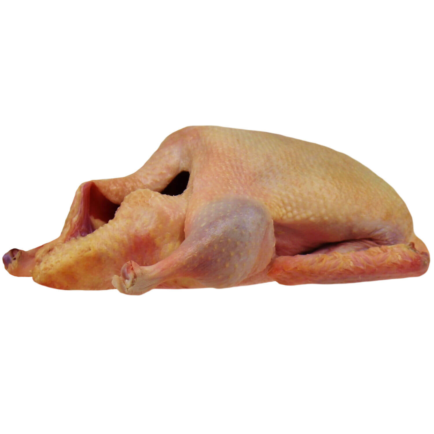 Barbarie Ente im Ganzen