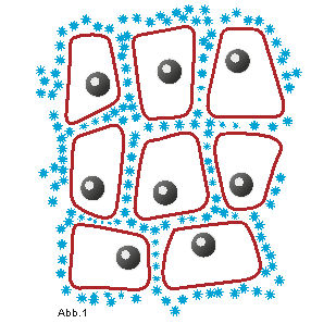 Schockfrostung für den Geschmack